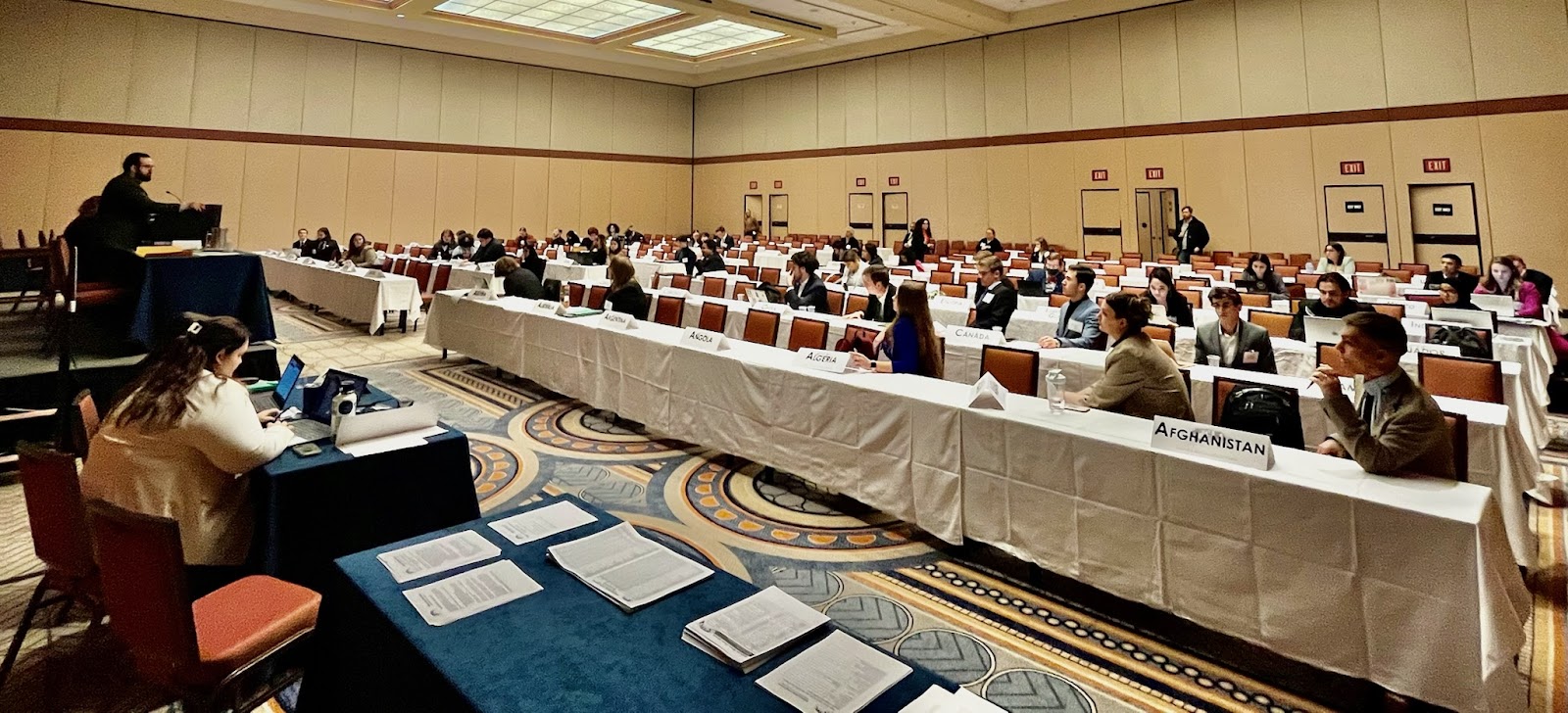 ITU in session. A long line of tables filled with eager Representatives.